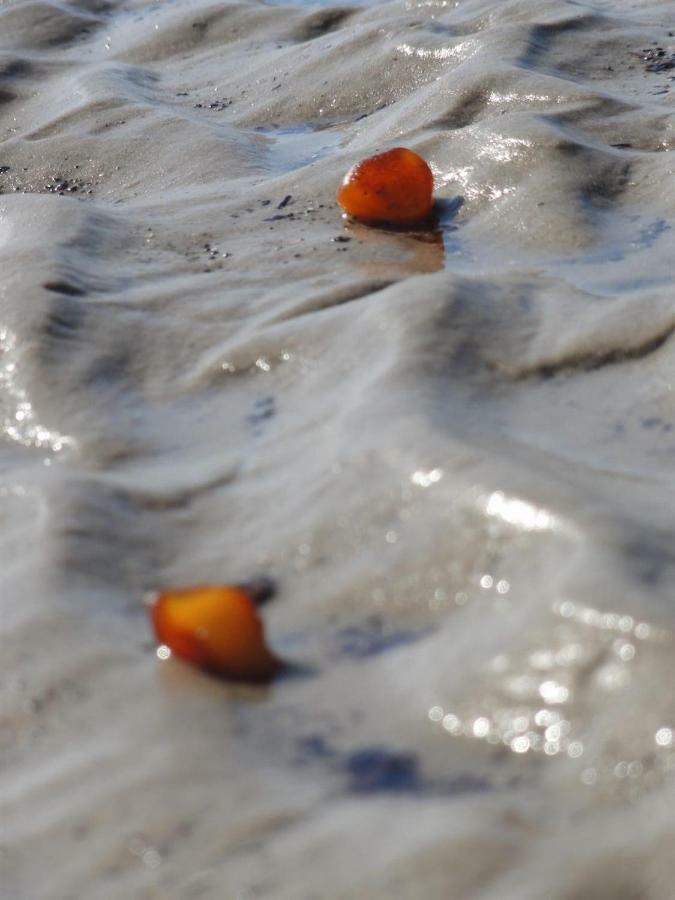 Dietrichs Wentzelhof Sankt Peter-Ording Esterno foto